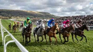 Cheltenham Festival Betting: Four-Day Punter’s Playbook 2026 | Turfside